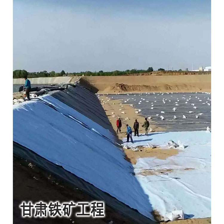 ���C�F�V����